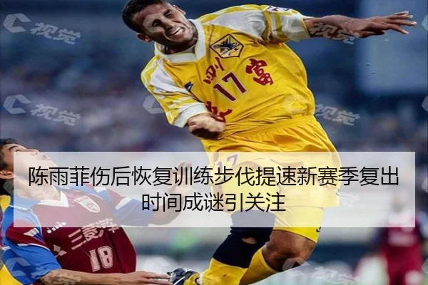 陈雨菲伤后恢复训练步伐提速新赛季复出时间成谜引关注